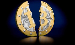 Investidores não declaram suas perdas com Bitcoin
