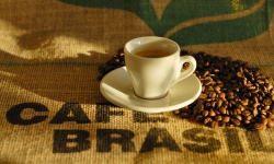 Brasil Bate Recorde Histórico na Produção do Café.