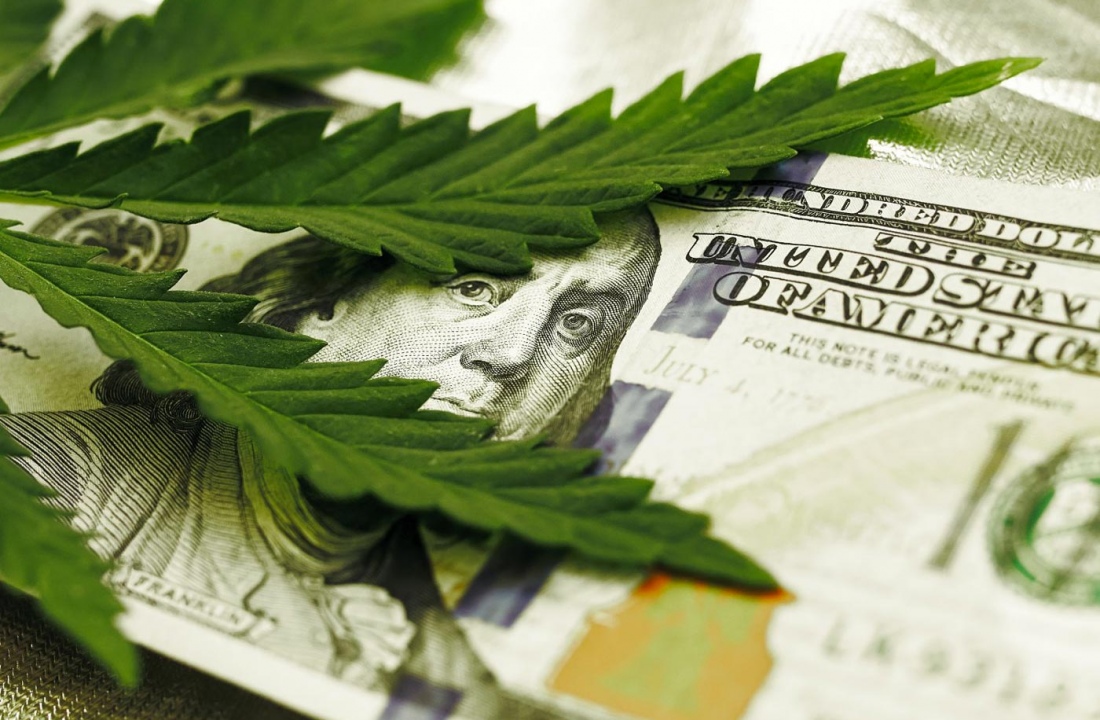Investir em Cannabis : É o Investimento Financeiro do Momento?