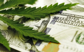 Como investir em cannabis com o eToro CannabisCare CopyPortfolio?