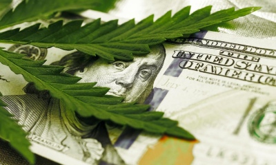 Como investir em cannabis com o eToro CannabisCare CopyPortfolio?